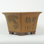 Vaso Cermica Bonsai - Quadrado -  C.32 x A.24 cm